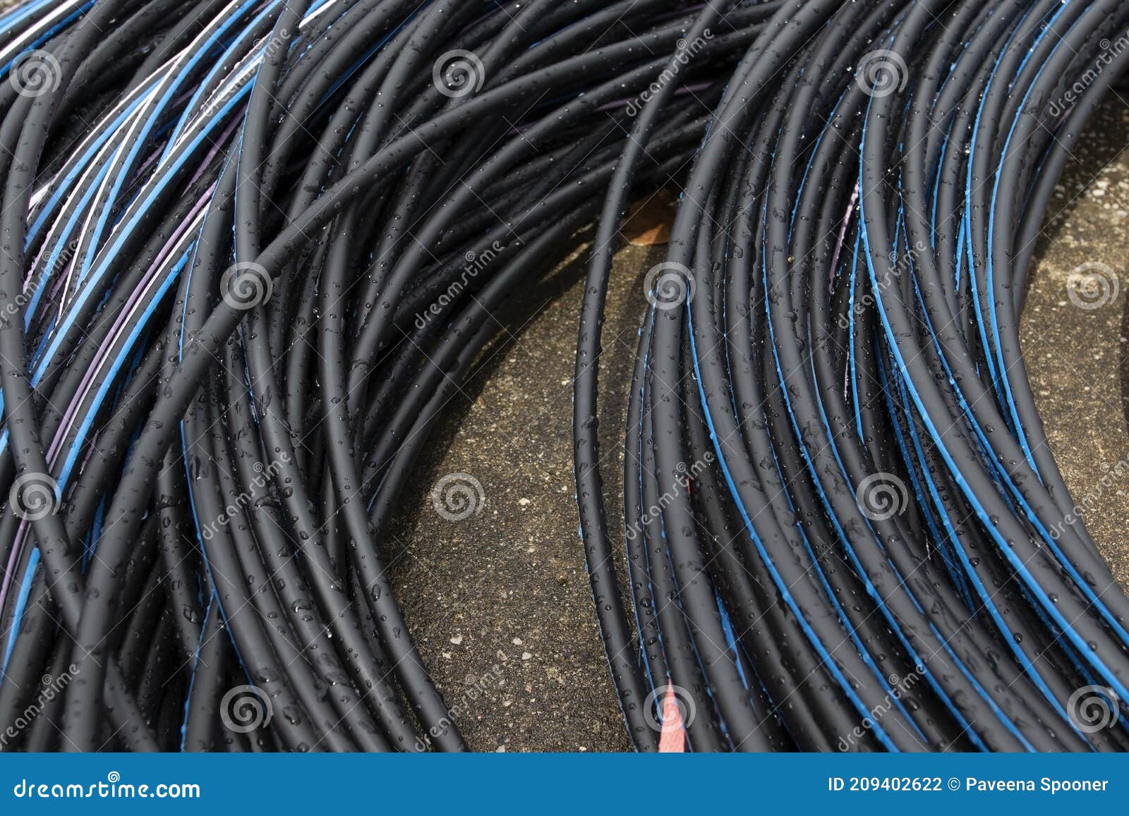 Electrical Cable after Rain. Power Cable, Wet, Raindrop Laid on Ground