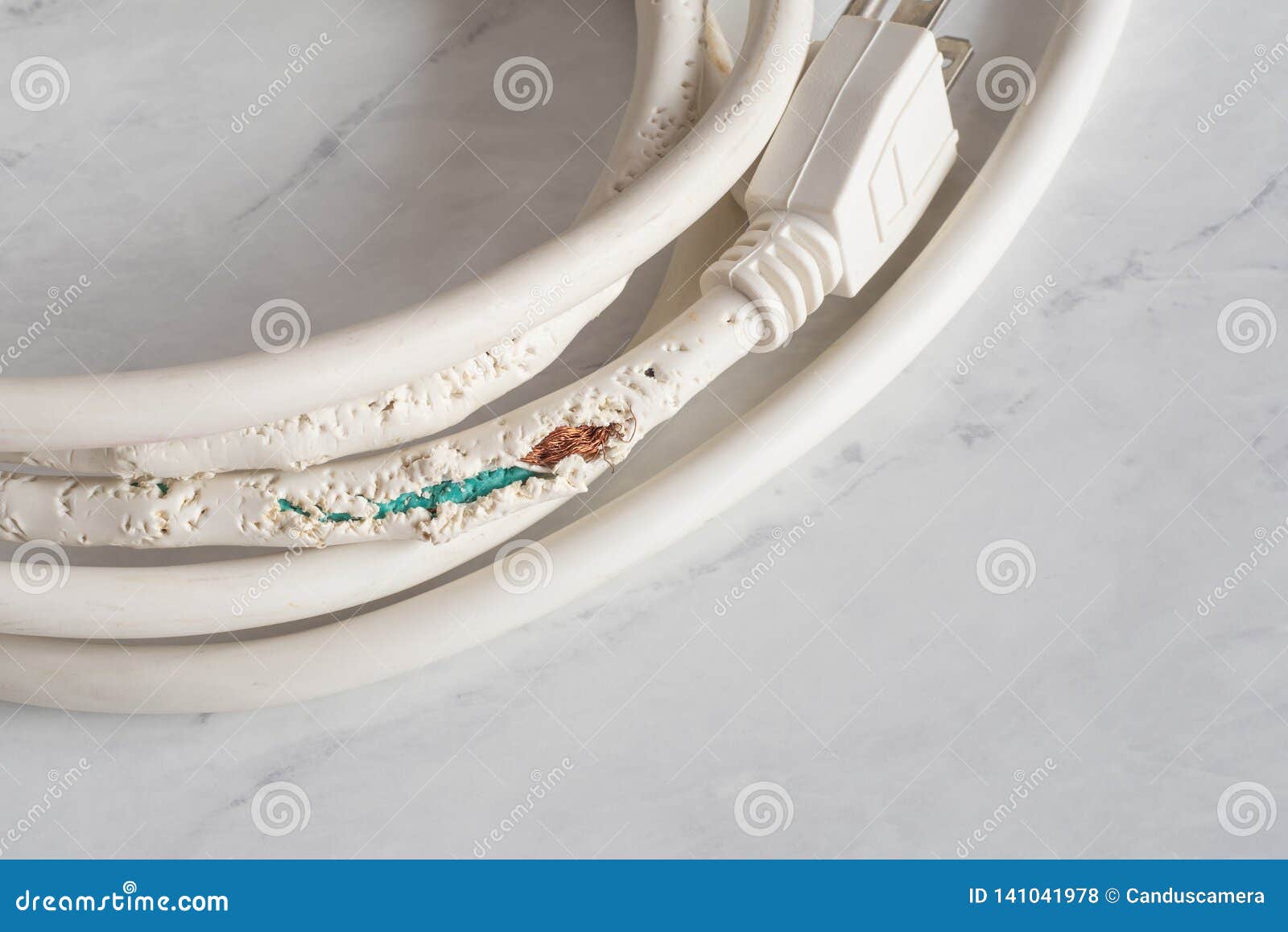 Electrical Cord Chewed and Damaged by a Pet Cat. a Closeup Horizontal