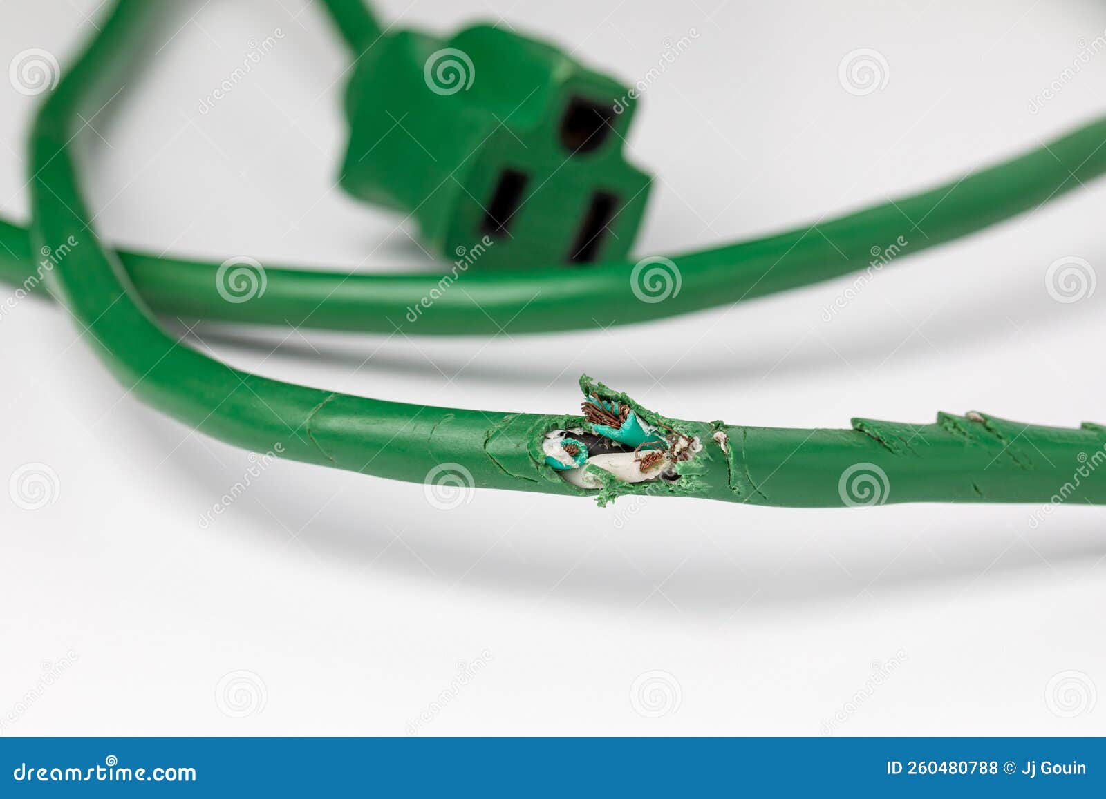 https://thumbs.dreamstime.com/z/electrical-extension-cord-wiring-damage-mice-rodent-control-mouse-infestation-home-repair-concept-260480788.jpg