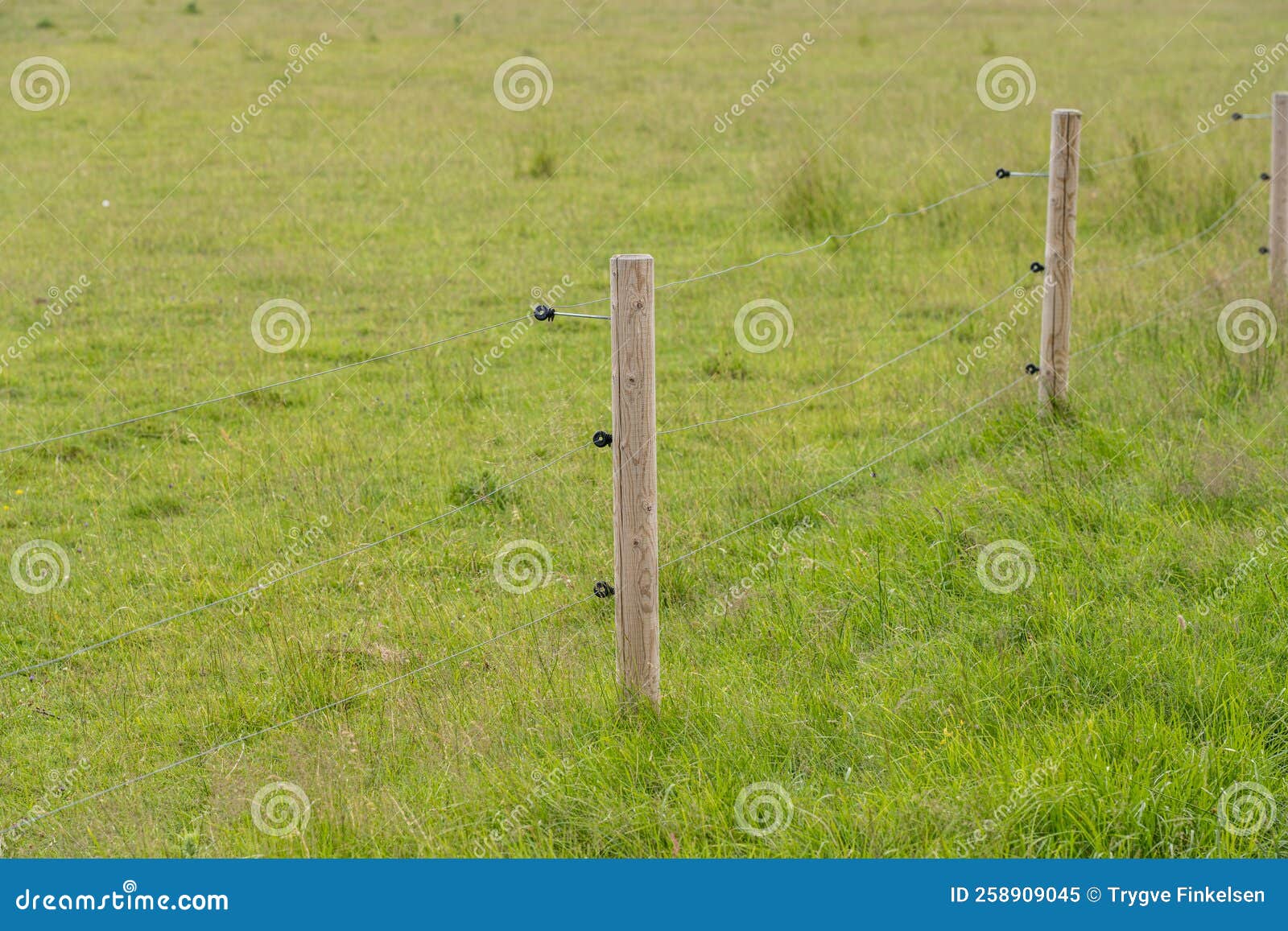 Electrical Fence and Post in a Field.. Stock Image Image of electric