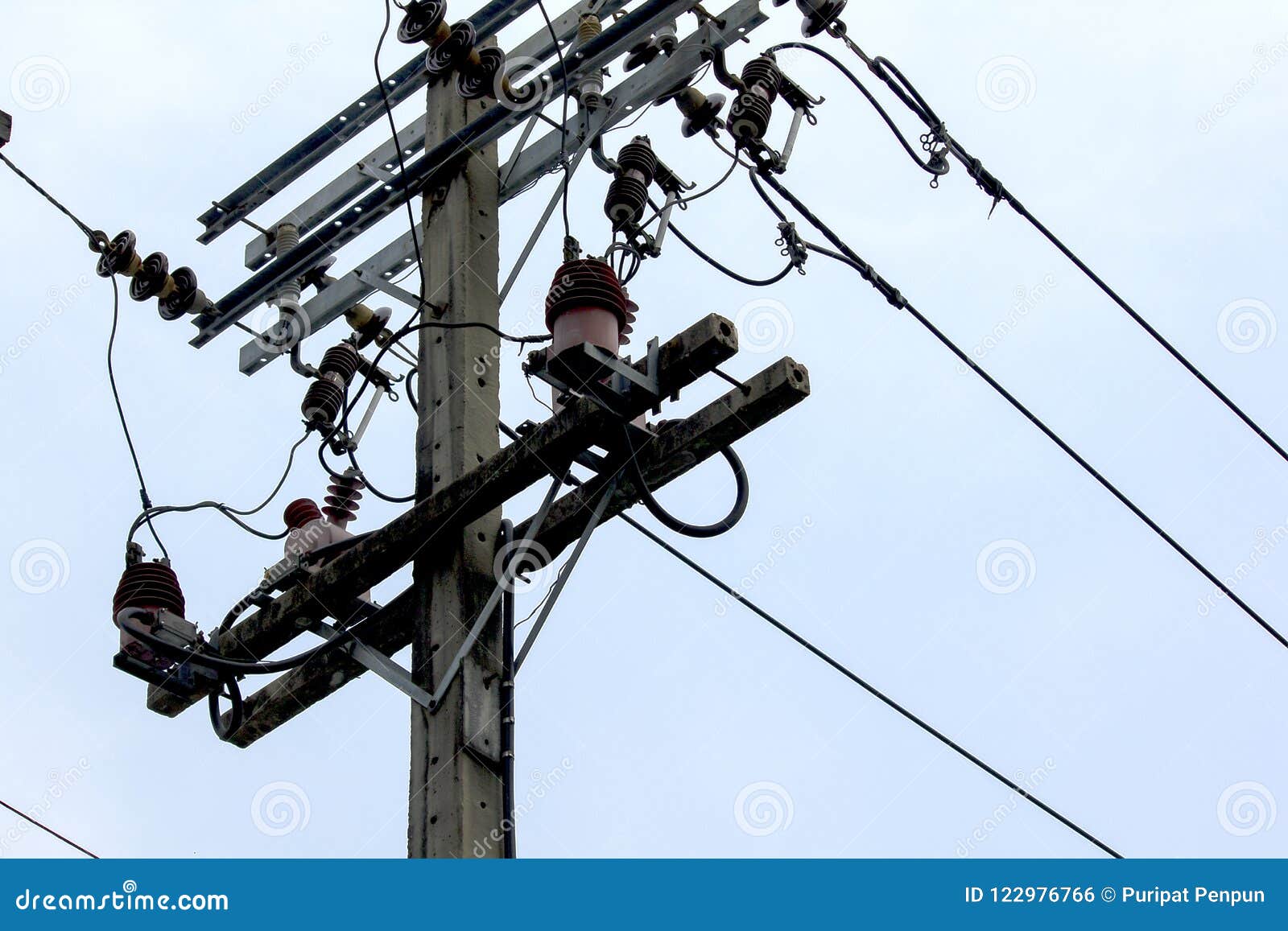 Electrical Insulator on Concrete Pole Stock Photo Image of industrial, engineering 122976766