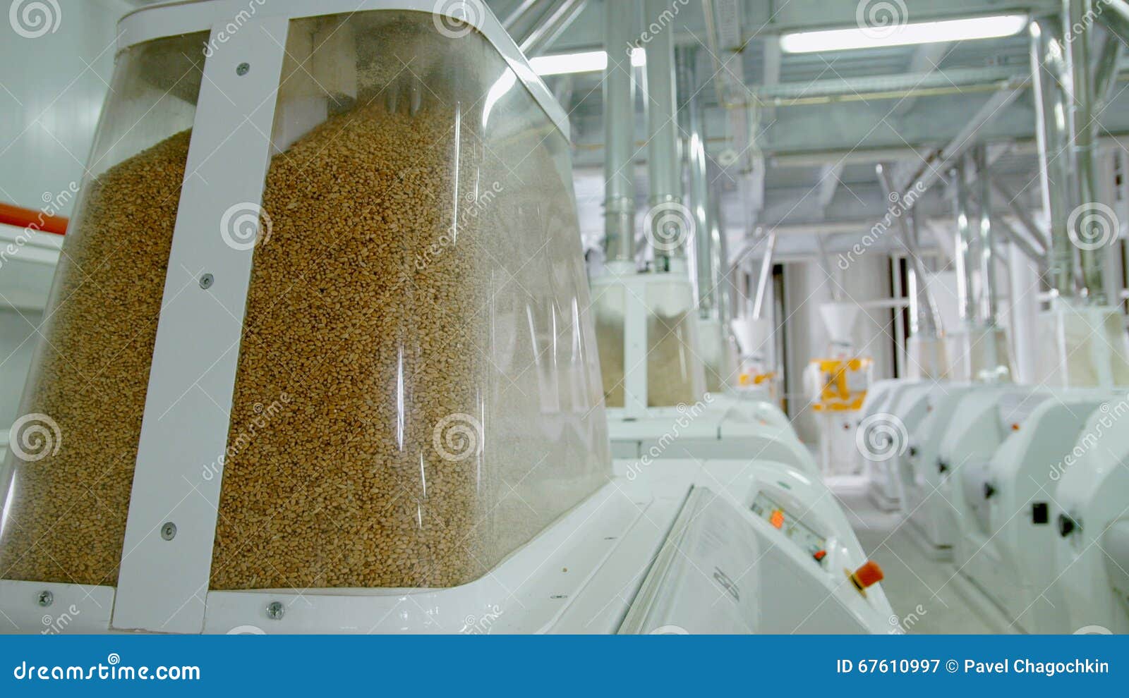 electrical mill machinery for the production of wheat flour. grain equipment. grain. agriculture. industrial