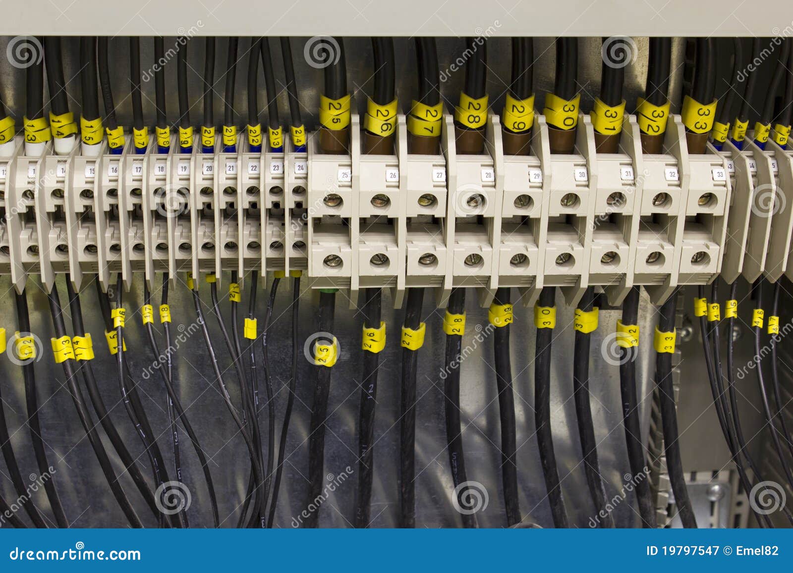 electrical wiring and terminals.