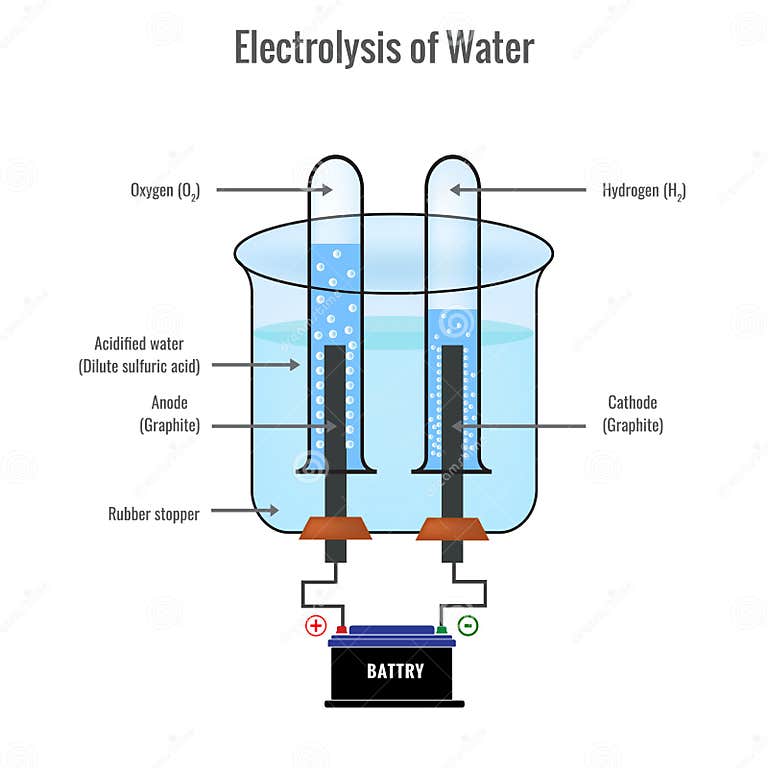 Electrolysis of Water Forming Hydrogen and Oxygen Vector Illustration ...