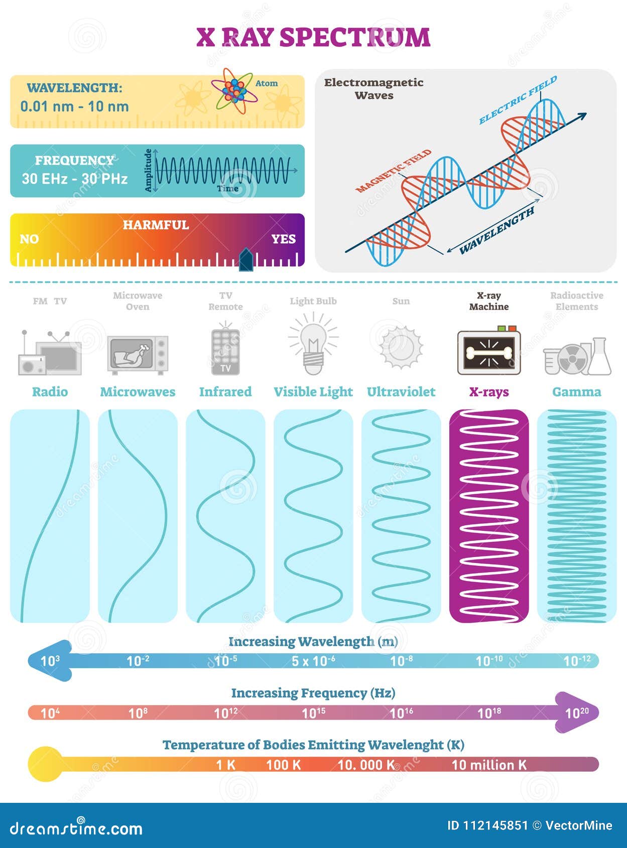 electromagnetic waves: x-ray wave spectrum.   diagram with wavelength, frequency, harmfulness and wave structure