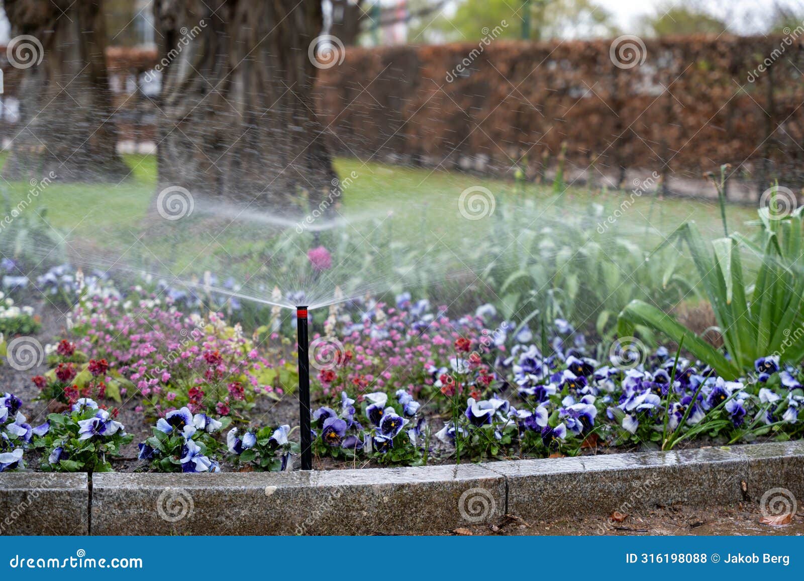 an electronic irrigation system waters the park's flowerbeds.