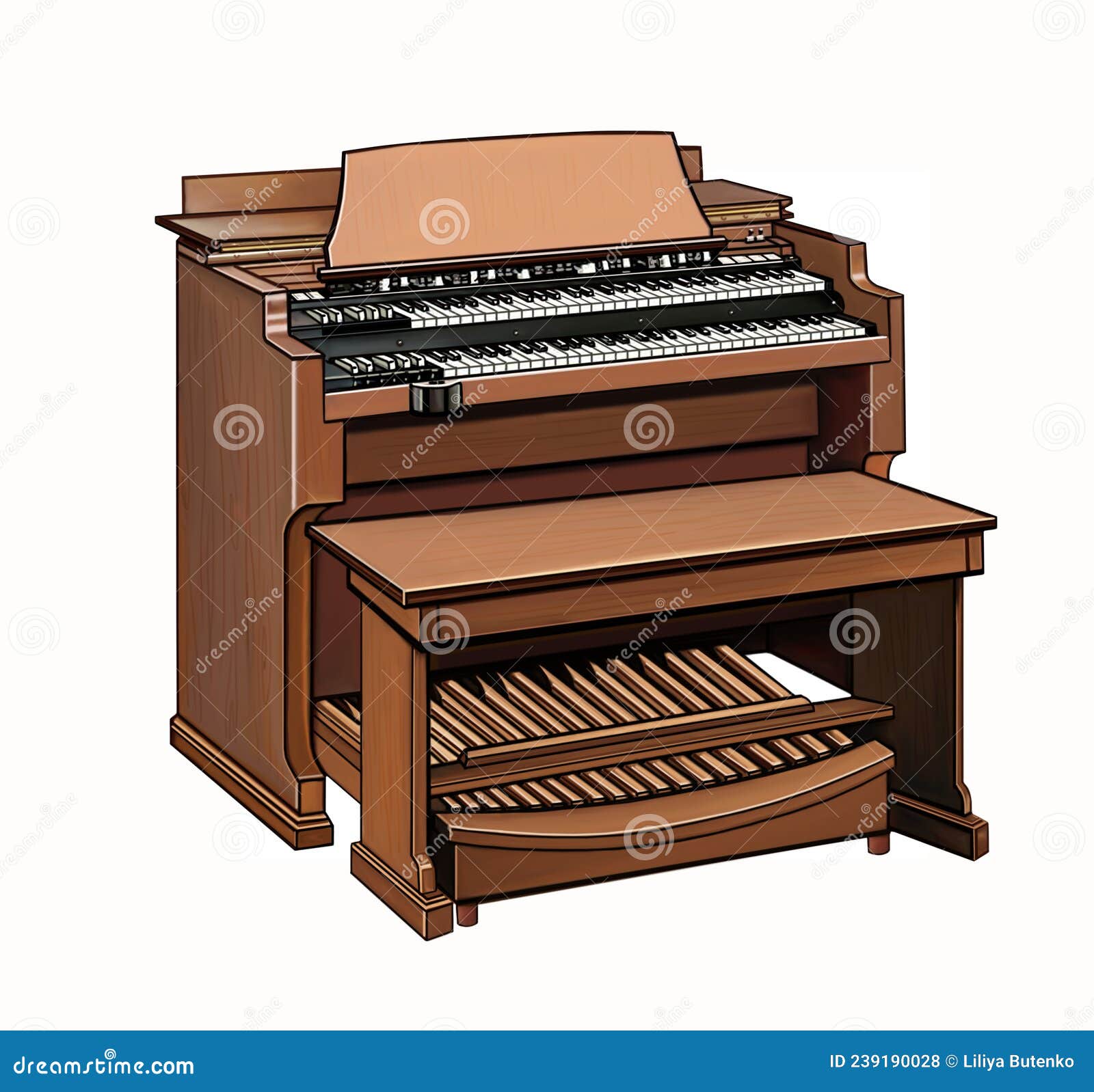 electronic organ, keyboard musical instrument,