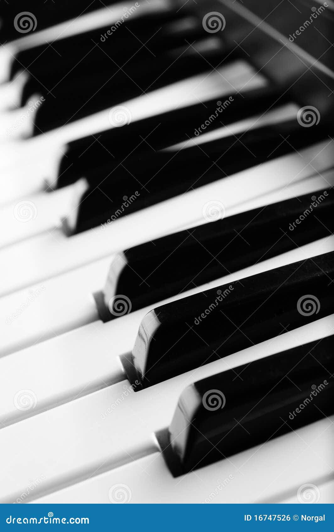 Electronic Piano Keyboard Close Up Stock Photo Image of background