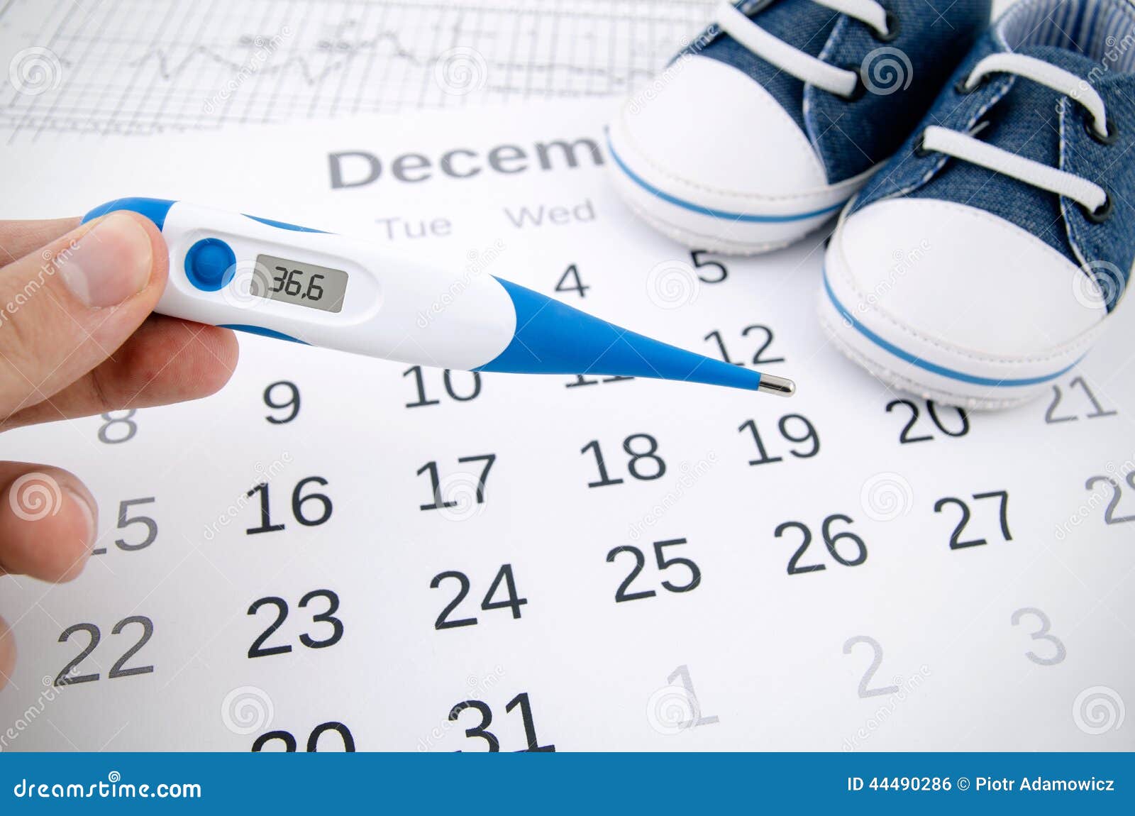 Electronic Thermometer in Fertility Concept Stock Photo Image of