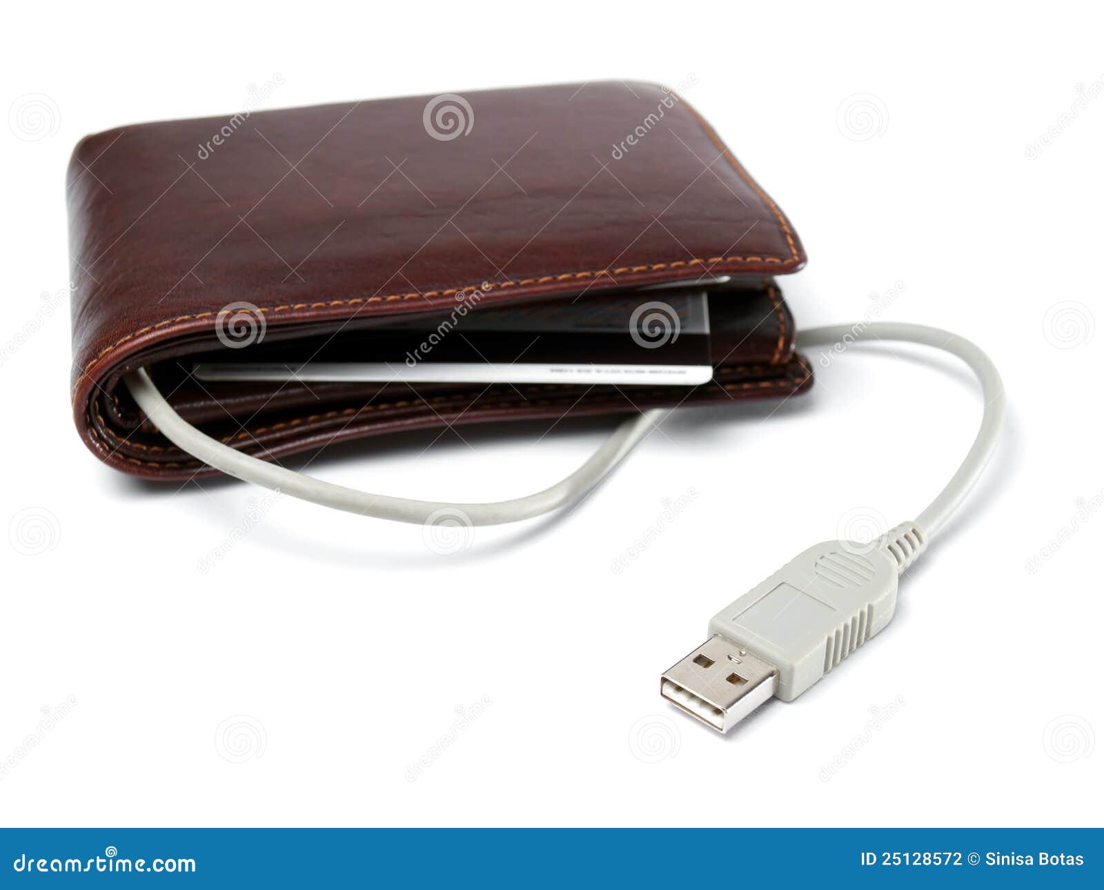 Electronic wallet stock photo. Image of business, cable 25128572