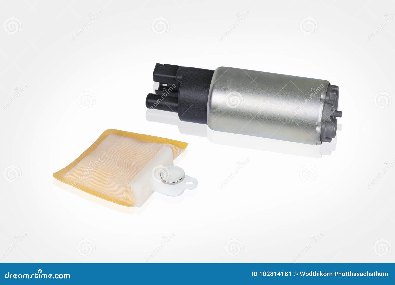 The Electronics Fuel Pump and Filter for Fuel System of Engine C Stock