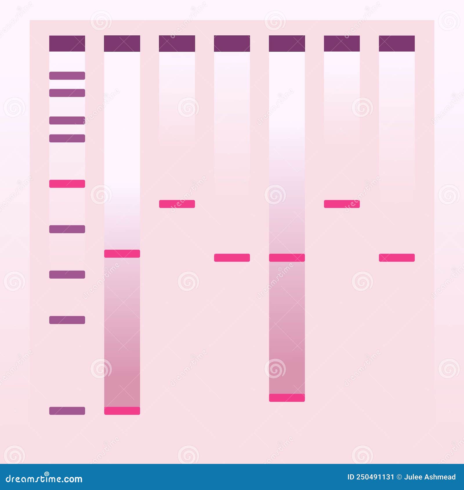 Electrophoresis Gel Vector Illustration Background