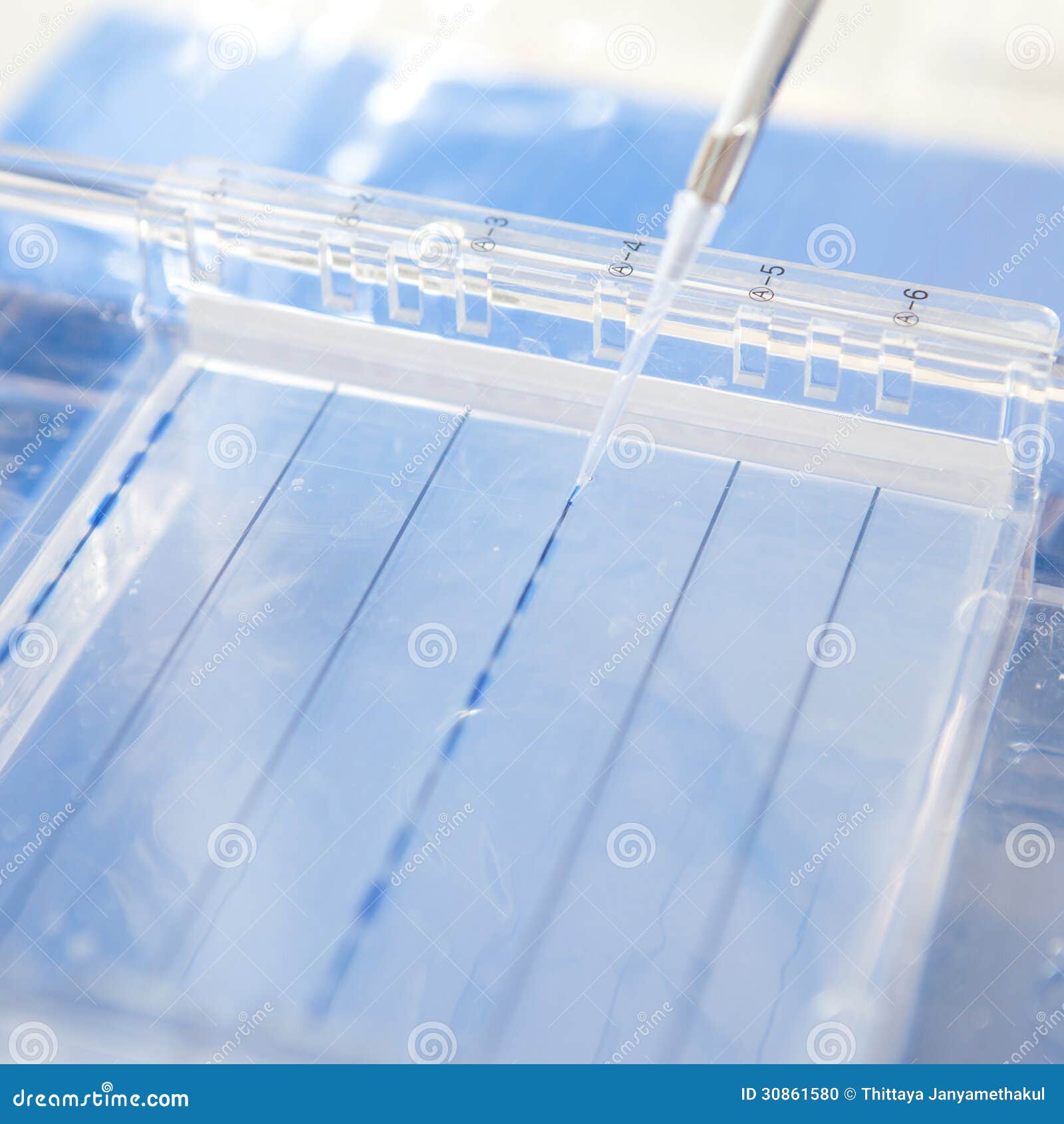 Electrophoresis stock photo. Image of medical, gloves 30861580