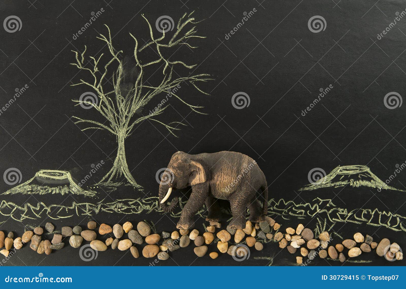 Elefante Solo En El Despoblar De árboles Del Ser Humano Imagen de archivo -  Imagen de ambiente, bosque: 30729415