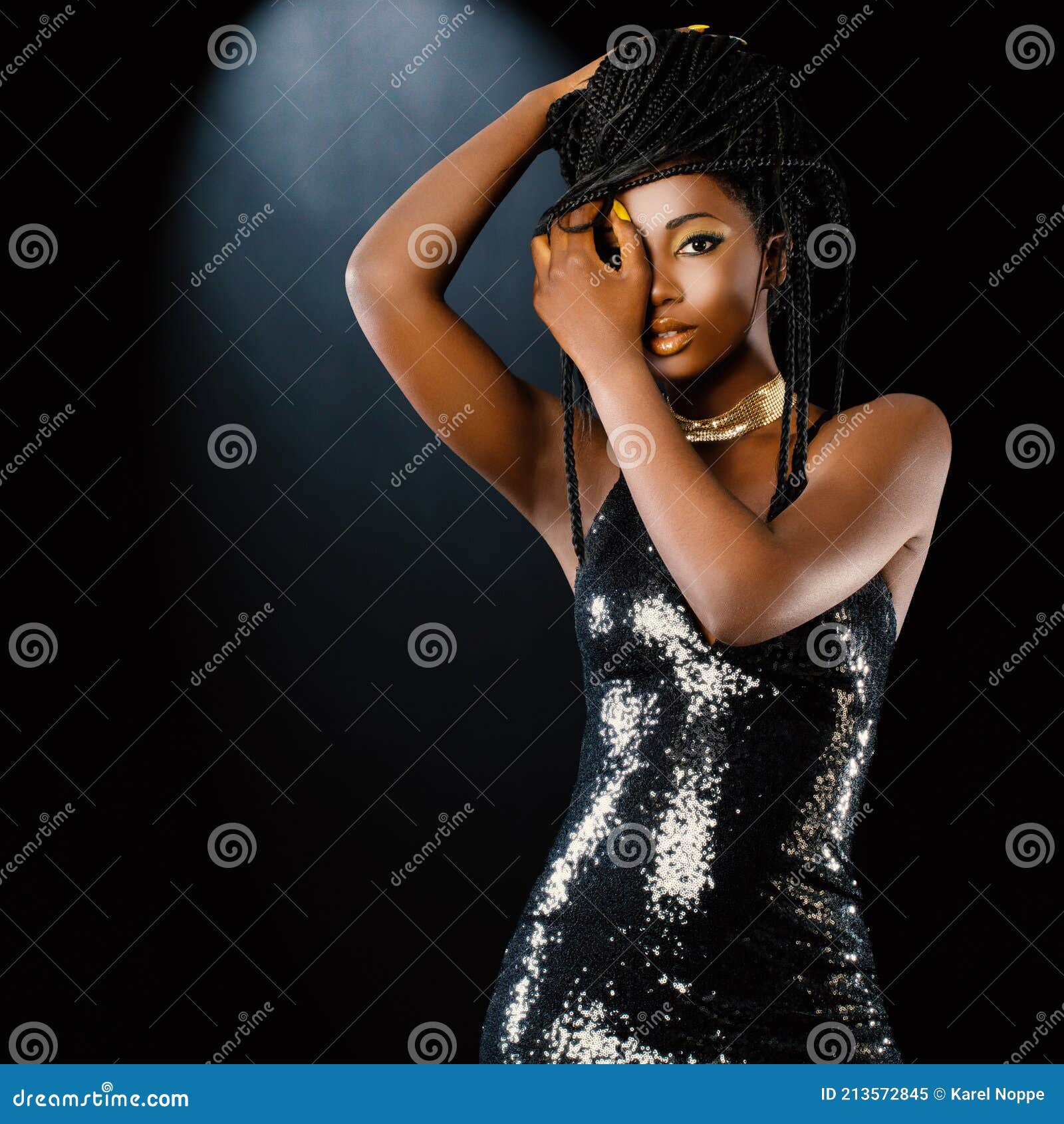 Elegant African Woman with Party Dress and Braided Hairstyle Stock Image - Image of hair, care: 213572845 Elegant African Woman with Party Dress and Braided Hairstyle Stock Image - Image of hair, care: 213572845