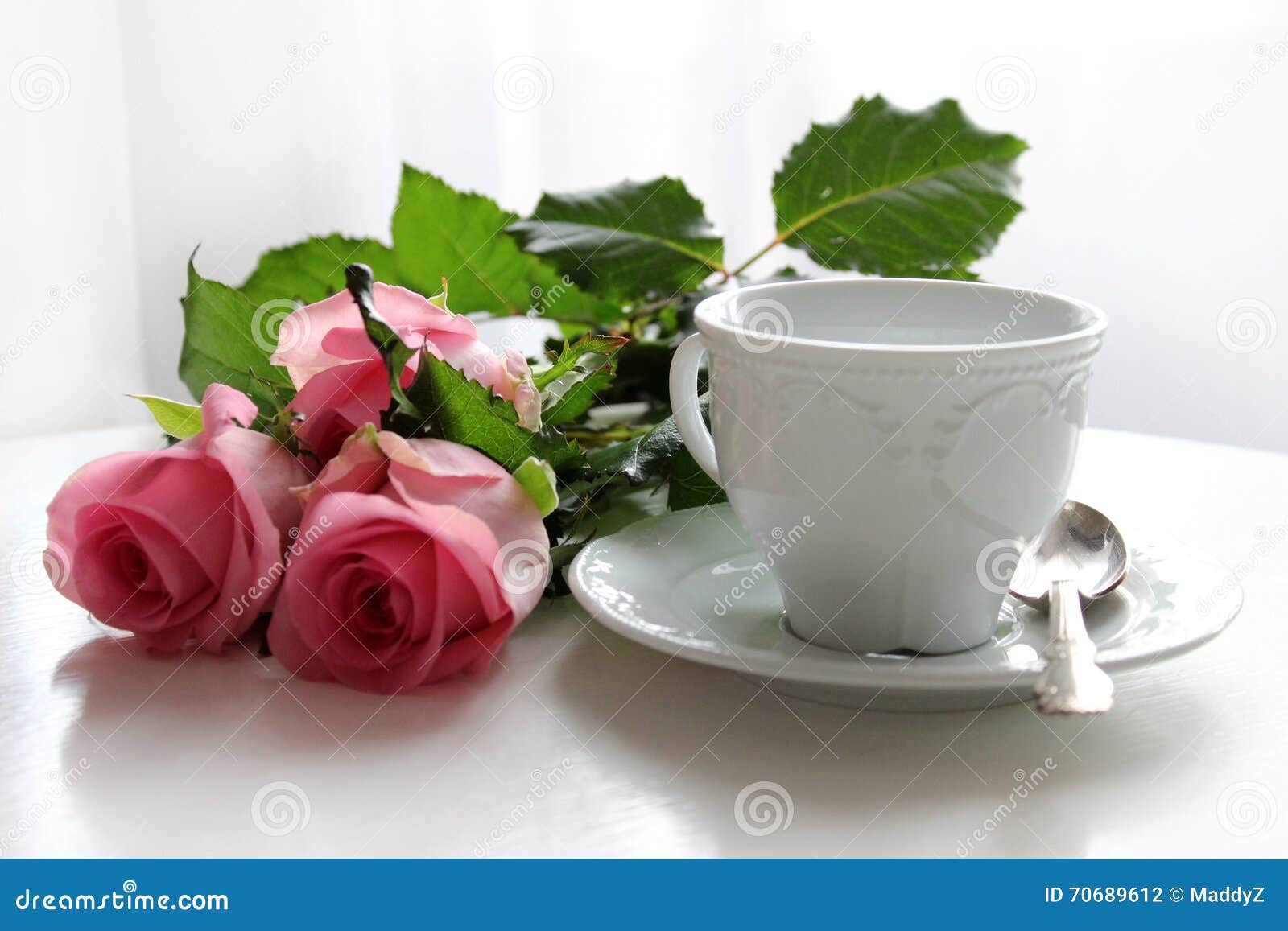 Elegant Antique Tea Cup and Pink Roses Stock Photo Image of water