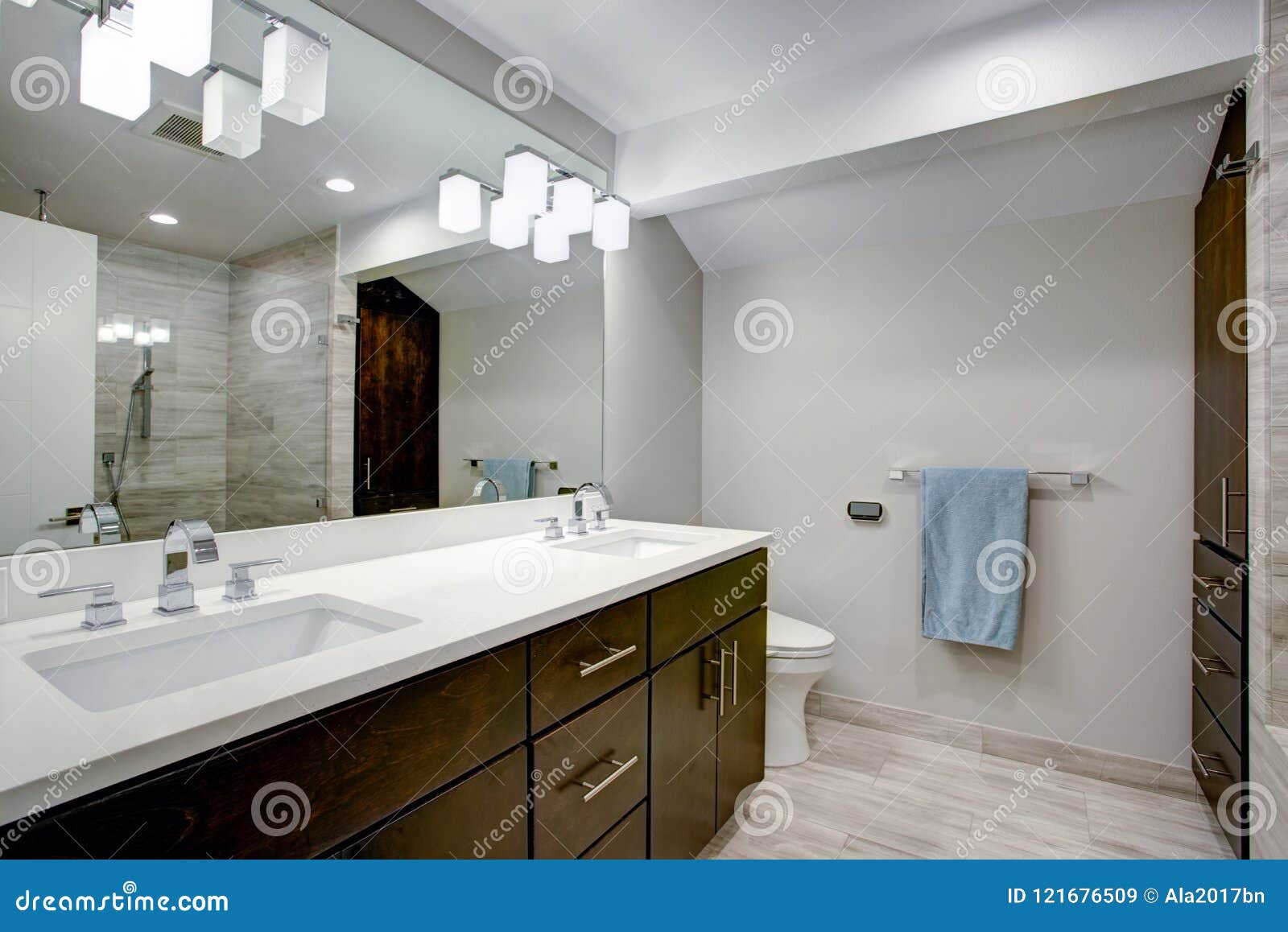 Elegant Bathroom With Espresso Double Vanity Stock Image Image Of Light