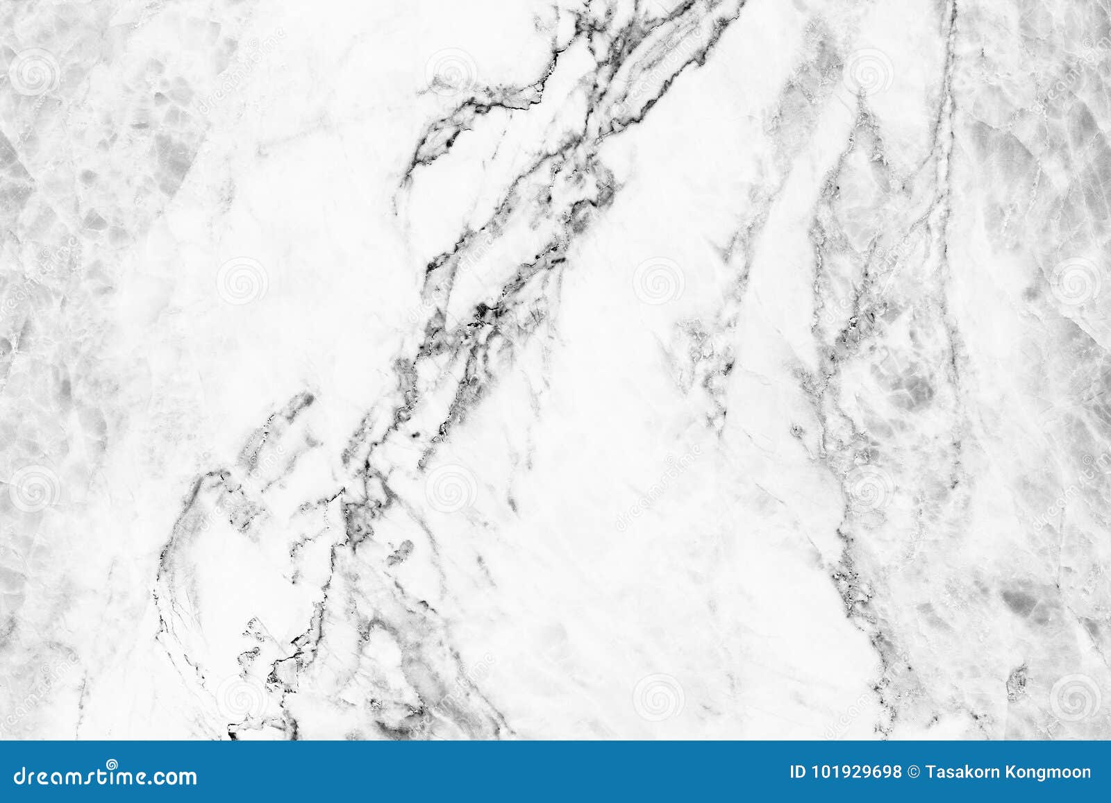 Elegant Black and White Marble Background Stock Photo Image of