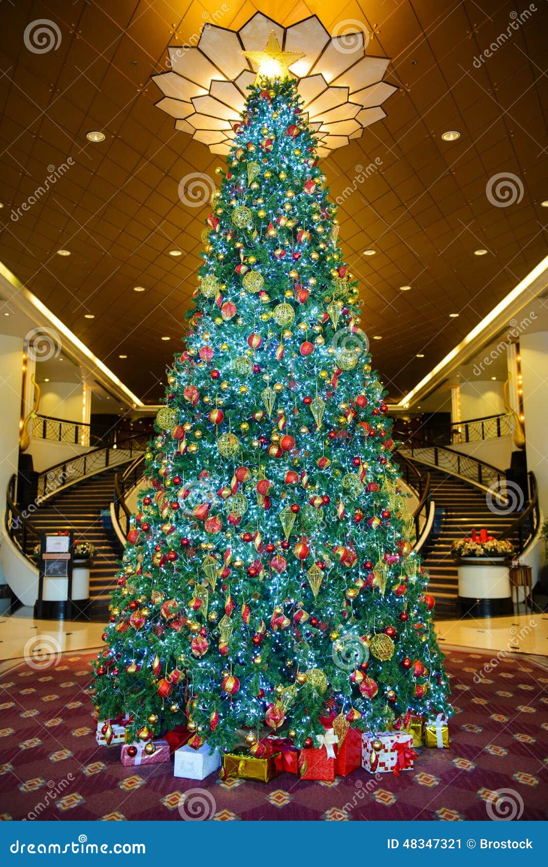 Elegant Christmas Tree Stock Image Image Of Indoors 48347321