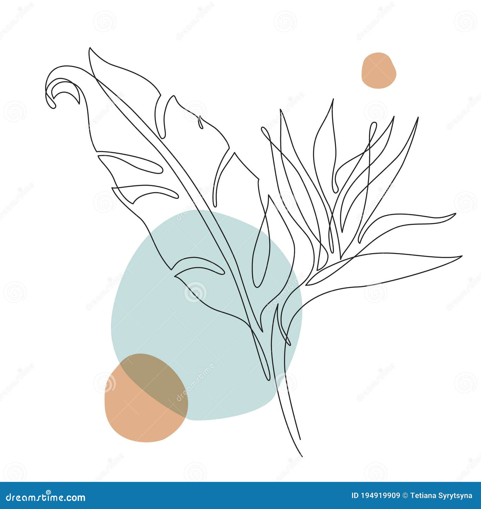 Elegant Continuous Line Drawing Minimal Art Flower On Geometric Shapes Backgroud Stock Vector Illustration Of Leaf Black Elegant Continuous Line Drawing Minimal Art Flower On Geometric Shapes Backgroud Stock Vector Illustration Of Leaf Black