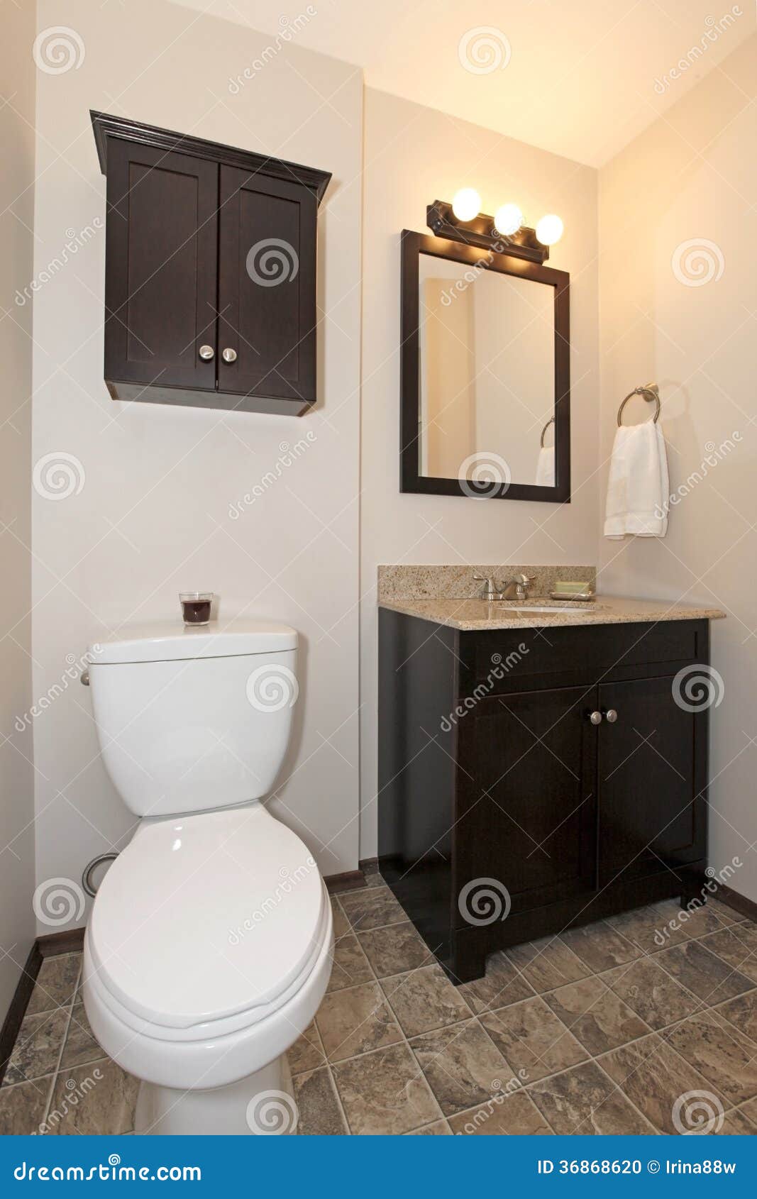 Elegant Dark Brown Tones Bathroom Stock Photo Image Of Sink