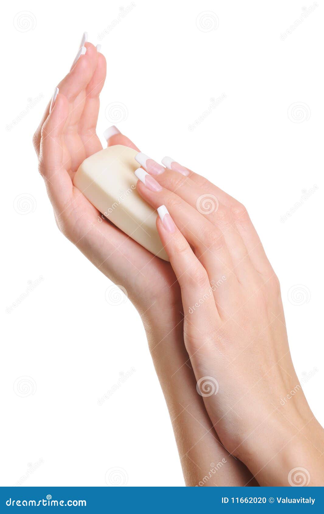 Elegant Female Hand Holding The White Soap Stock Photo Image 11662020