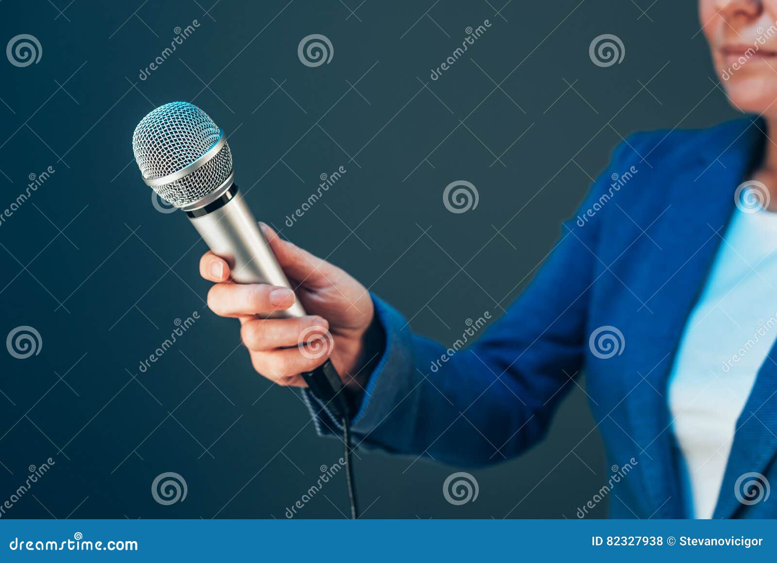 elegant female journalist conducting business interview