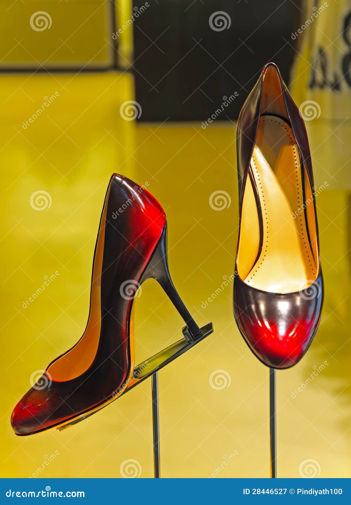 Elegant ladies shoes stock image. Image of style, brown - 28446527