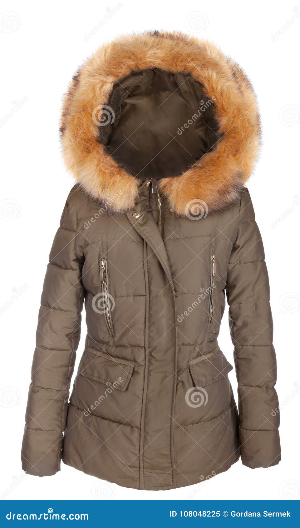 Elegant Ladies Winter Jacket Stock Image - Image of cotton