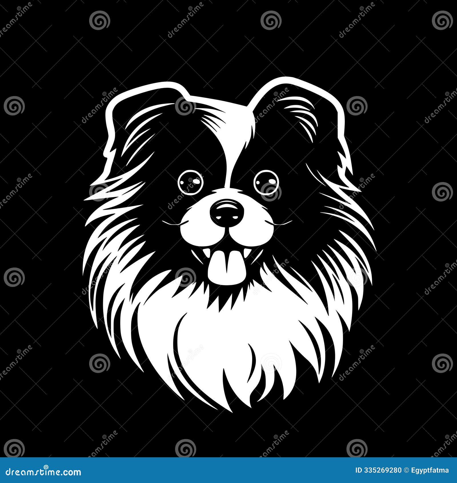 pomeranian - black and white  