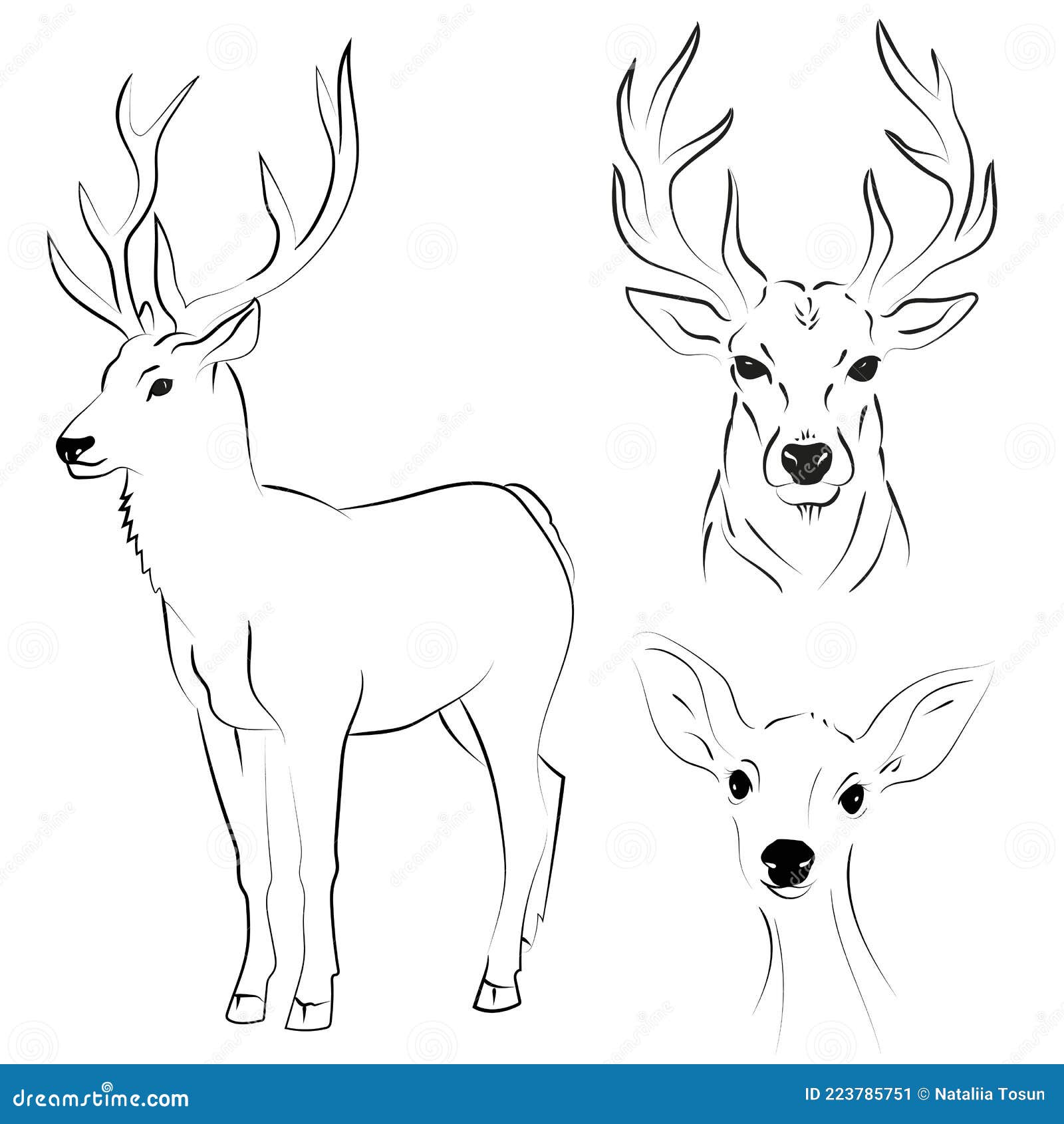 Cute Cartoon Deer Coloring Page Outline Sketch Drawing Vector Deer Images  Drawing Deer Images Outline Deer Images Sketch PNG and Vector with  Transparent Background for Free Download