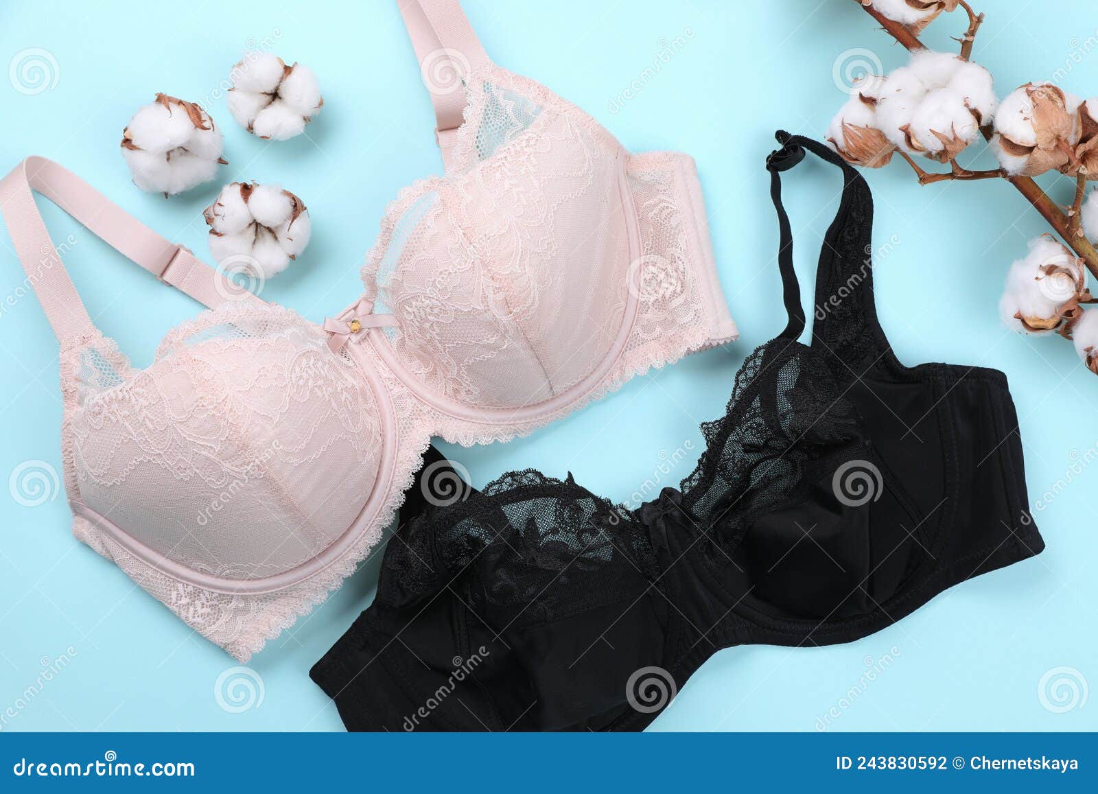 Elegant Plus Size Women`s Bras and Fluffy Cotton Flowers on Light Blue  Background, Flat Lay Stock Photo - Image of black, elegant: 243830592