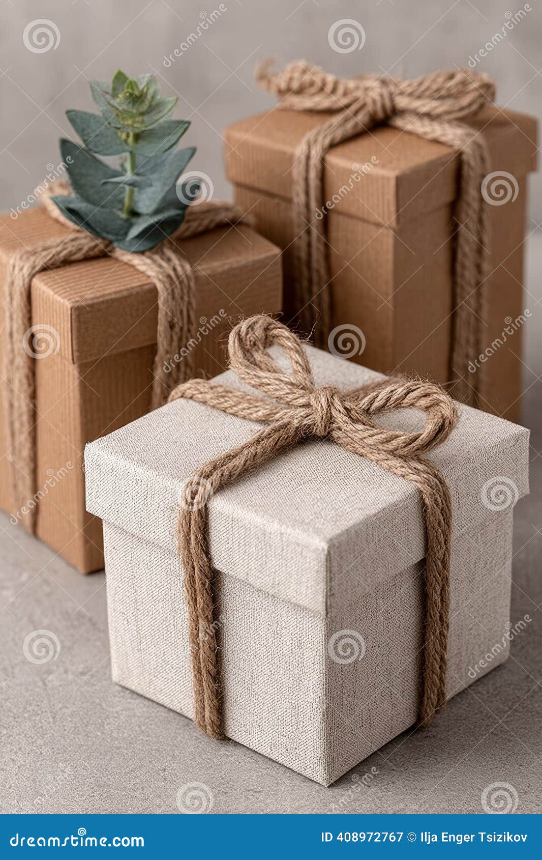 Elegant Rustic Gift Packaging with Jute String and Natural Plant Details  for Special Occasions Stock Illustration - Illustration of natureinspired,  sustainable: 408972767, image size:1066x1690