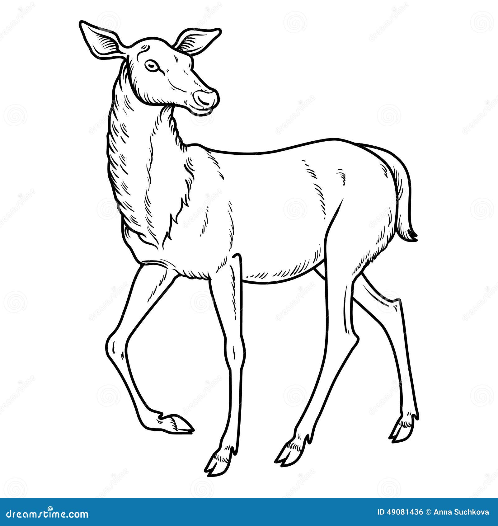 Elegant sika deer stock vector. Illustration of animal - 49081436