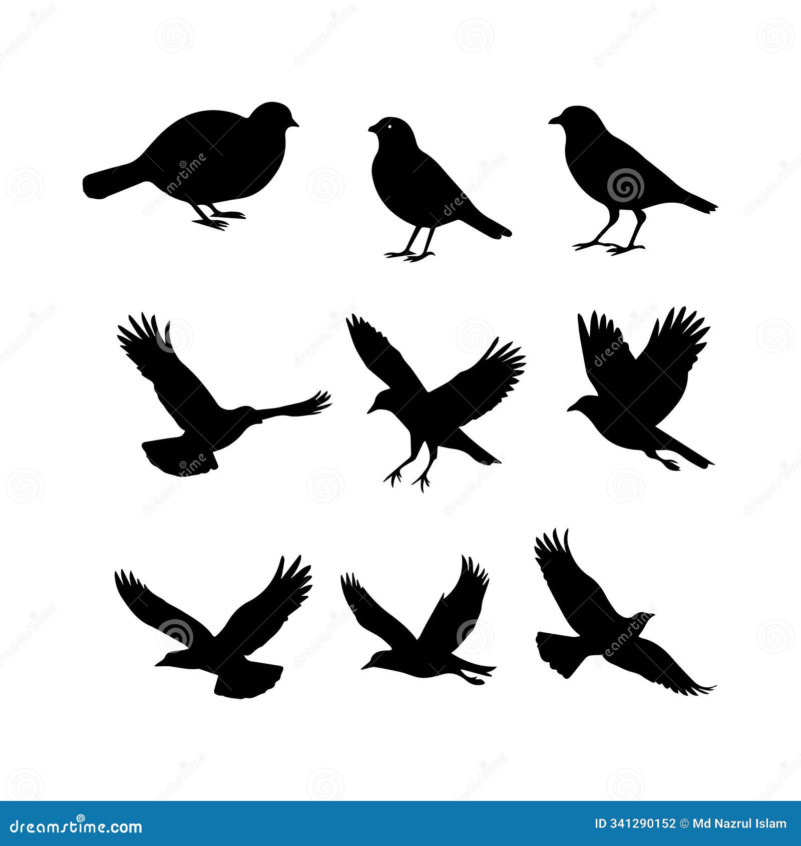 elegant silhouette bird  art for creative s