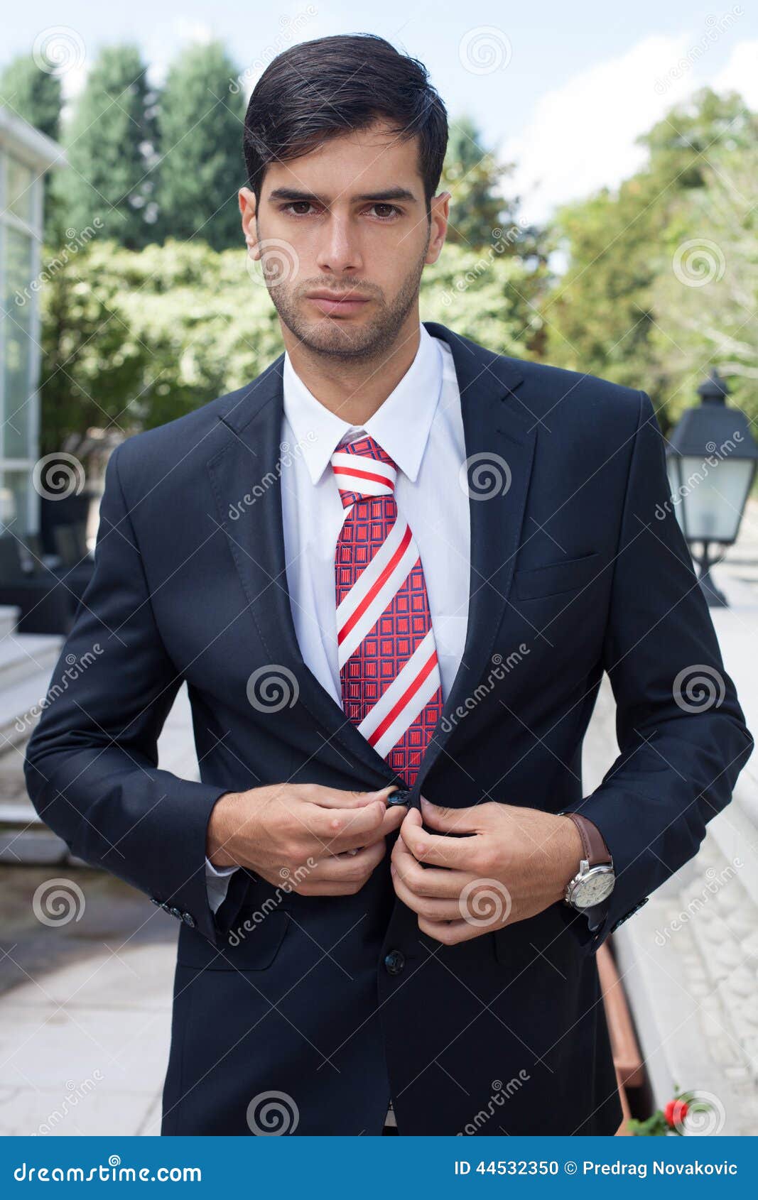 Elegant Young Business Man in Suits Stock Photo - Image of detail, hand ...