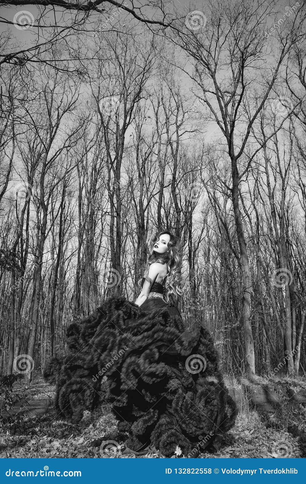 Sexy Woman Forest Stock Images - Download 491 Royalty Free Photos