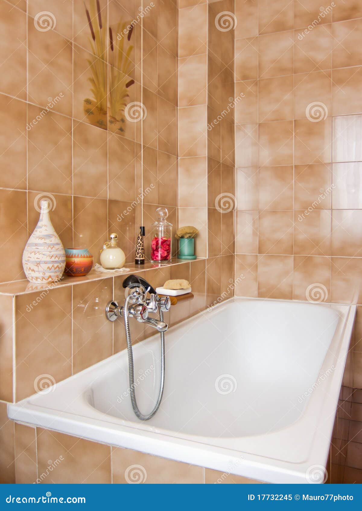 Elegantes Badezimmer stockbild Bild von luxus entwerfer 17732245