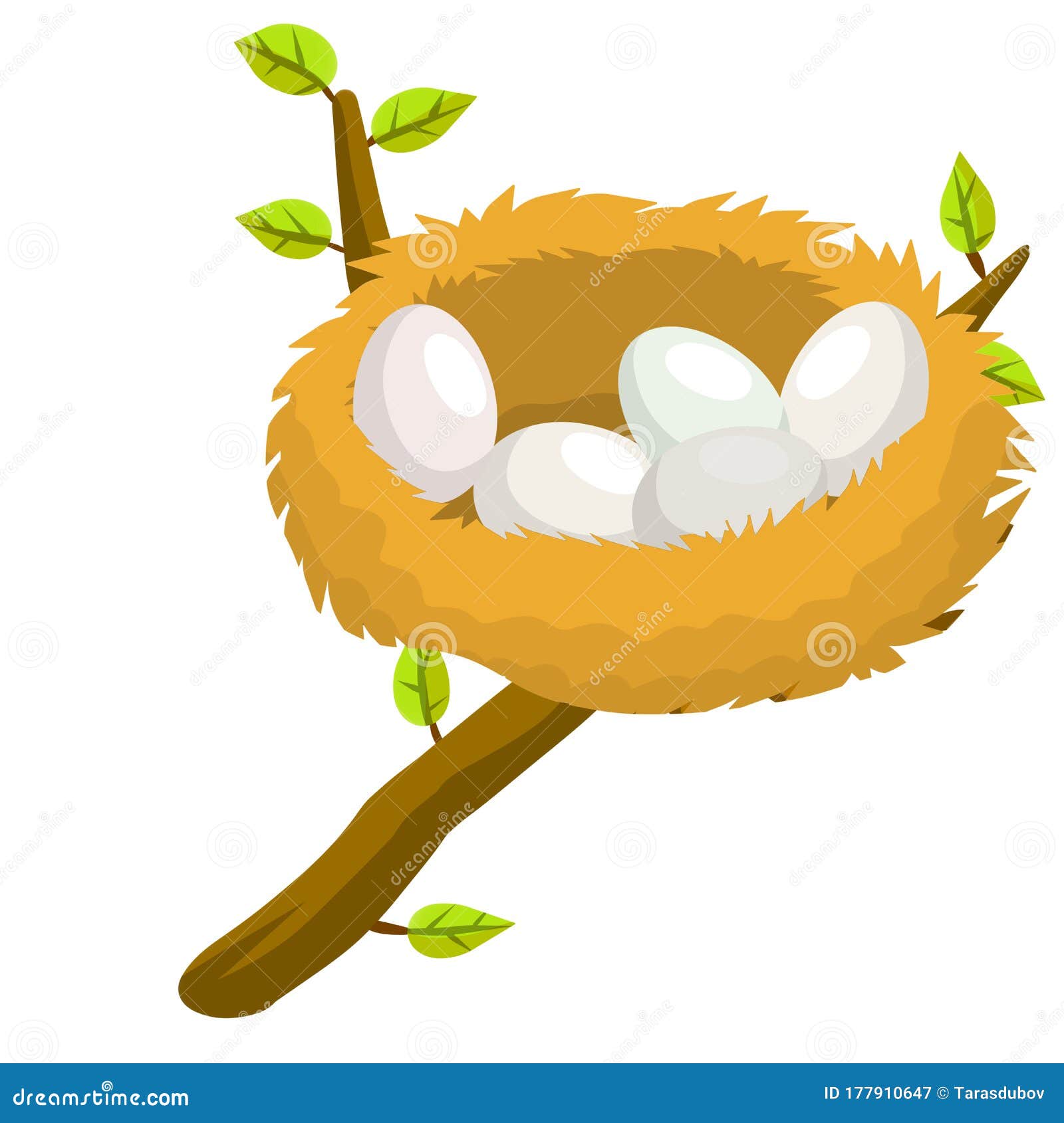 Nest and Egg. Bird House. Tree Branch with Leaves Stock Vector -  Illustration of cartoon, graphic: 177910647