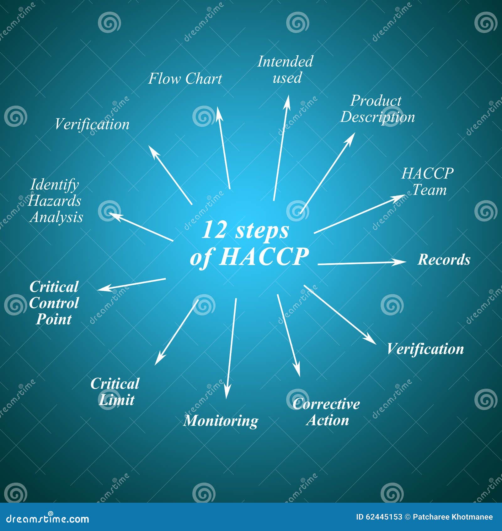 Element Of Twelve Step HACCP Principle On White Background For Used In