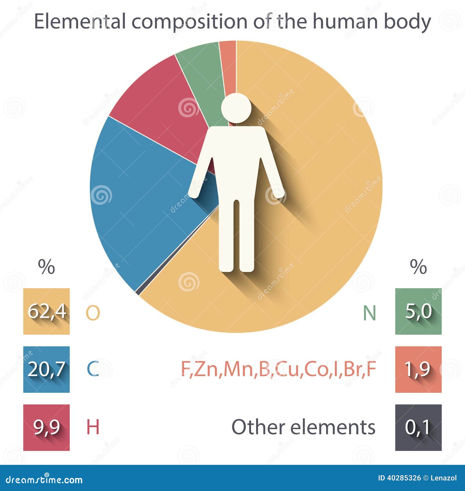 Human body composition Stock Vector