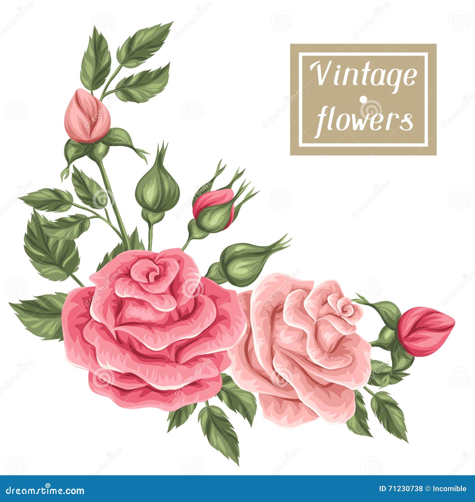 Elemento Floral Con Las Rosas Del Vintage Flores Retras Decorativas  Ilustración del Vector - Ilustración de mano, objeto: 71230738