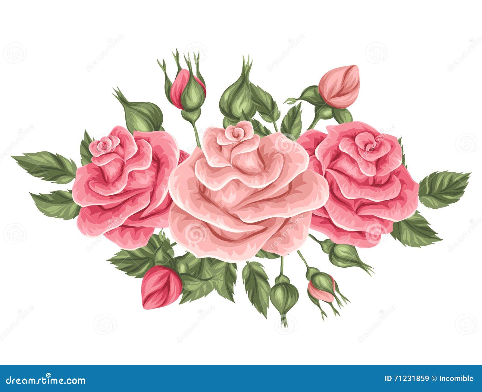Elemento Floreale Con Le Rose D'annata Retro Fiori Decorativi Illustrazione  Vettoriale - Illustrazione di scheda, oggetto: 71231859