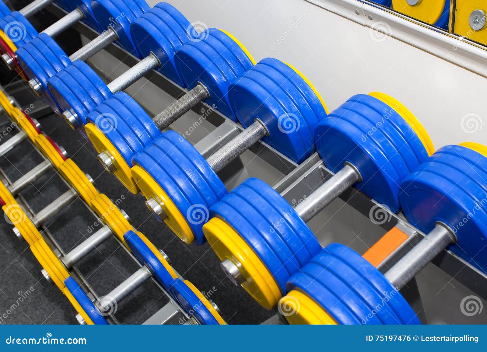 Elements of gym equipment stock photo. Image of elements 75197476