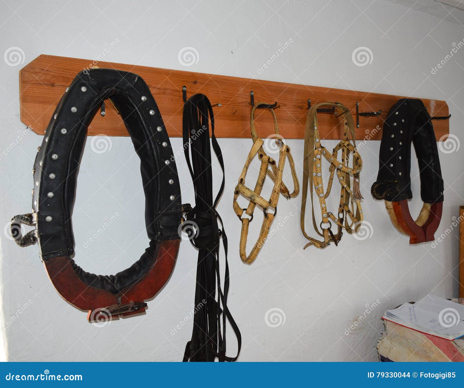 Elements of Harness Horses, Hanging on a Hanger Stock Photo Image of