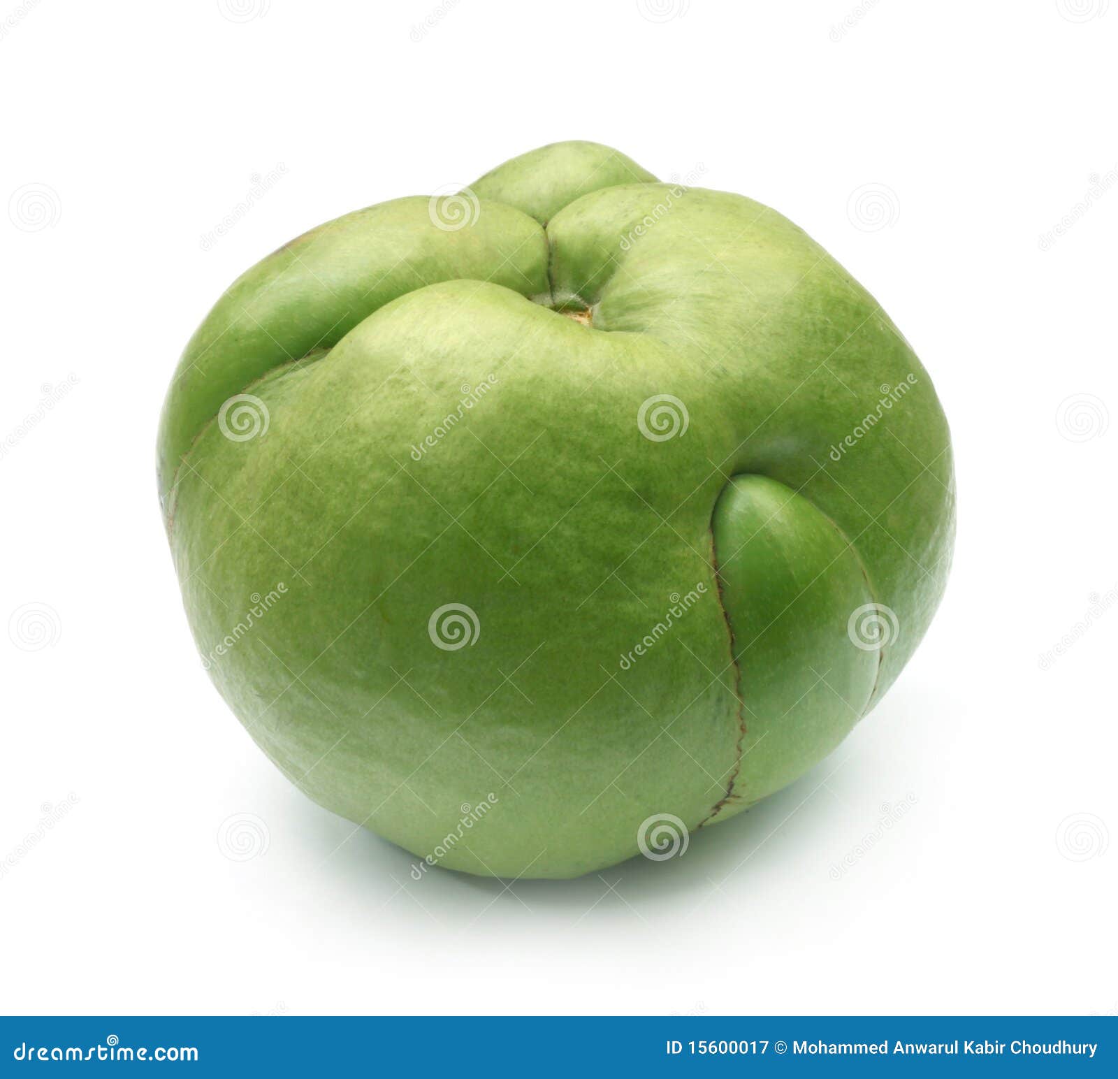 Elephant Apple Stock Photo | CartoonDealer.com #205520214