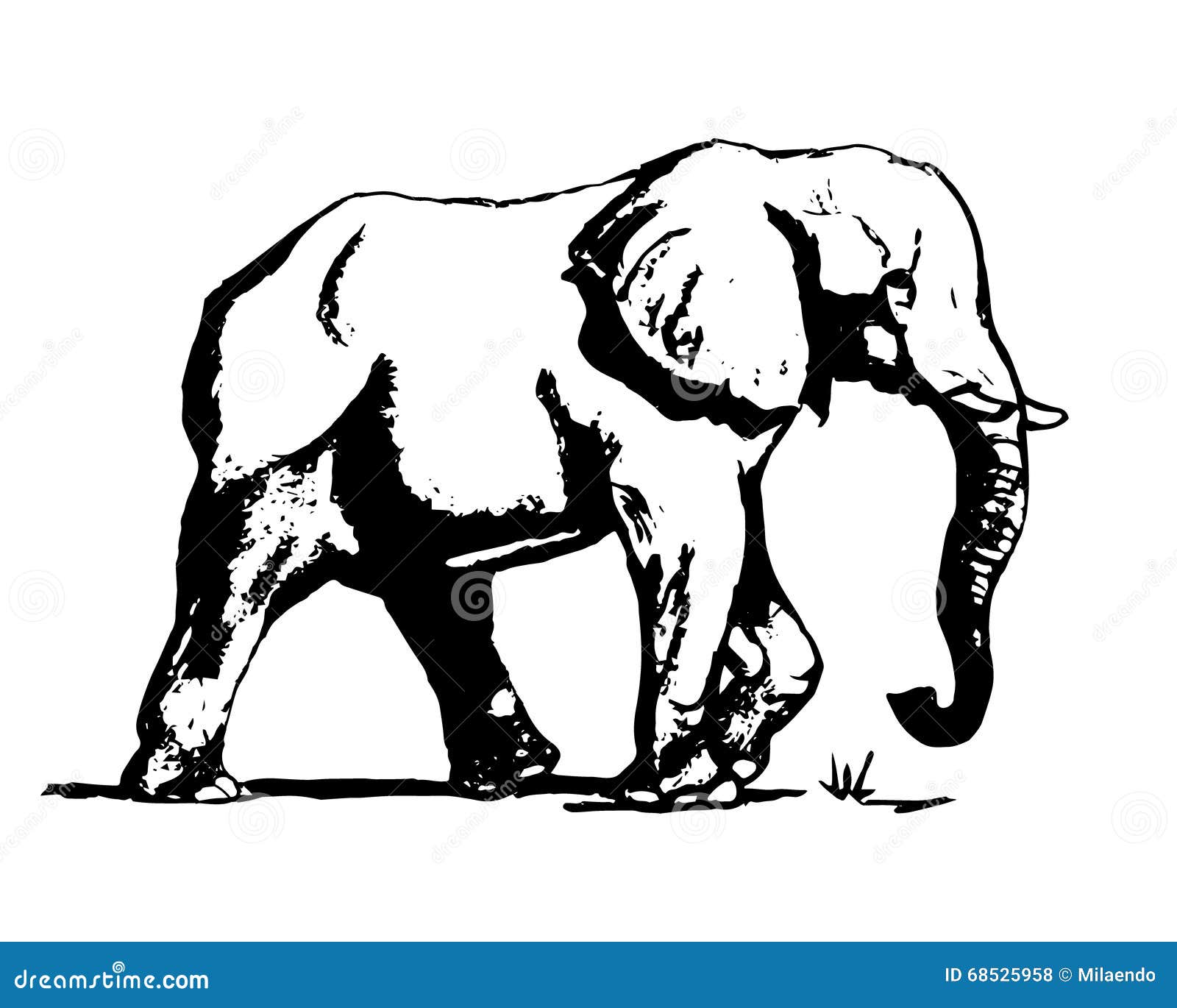 Elephant In Black And White 01 Stock Vector Illustration Of