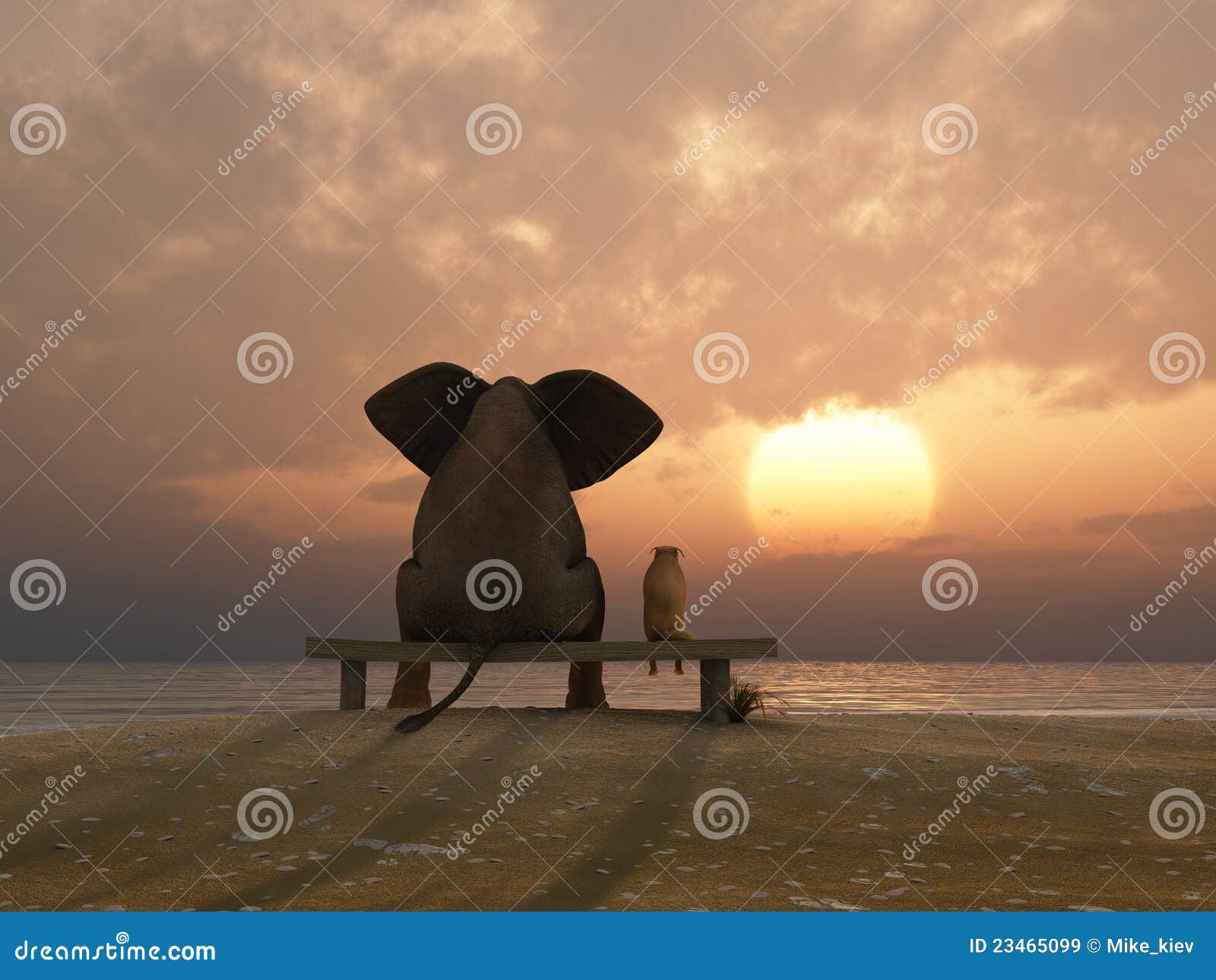 elephant and dog sit on a beach