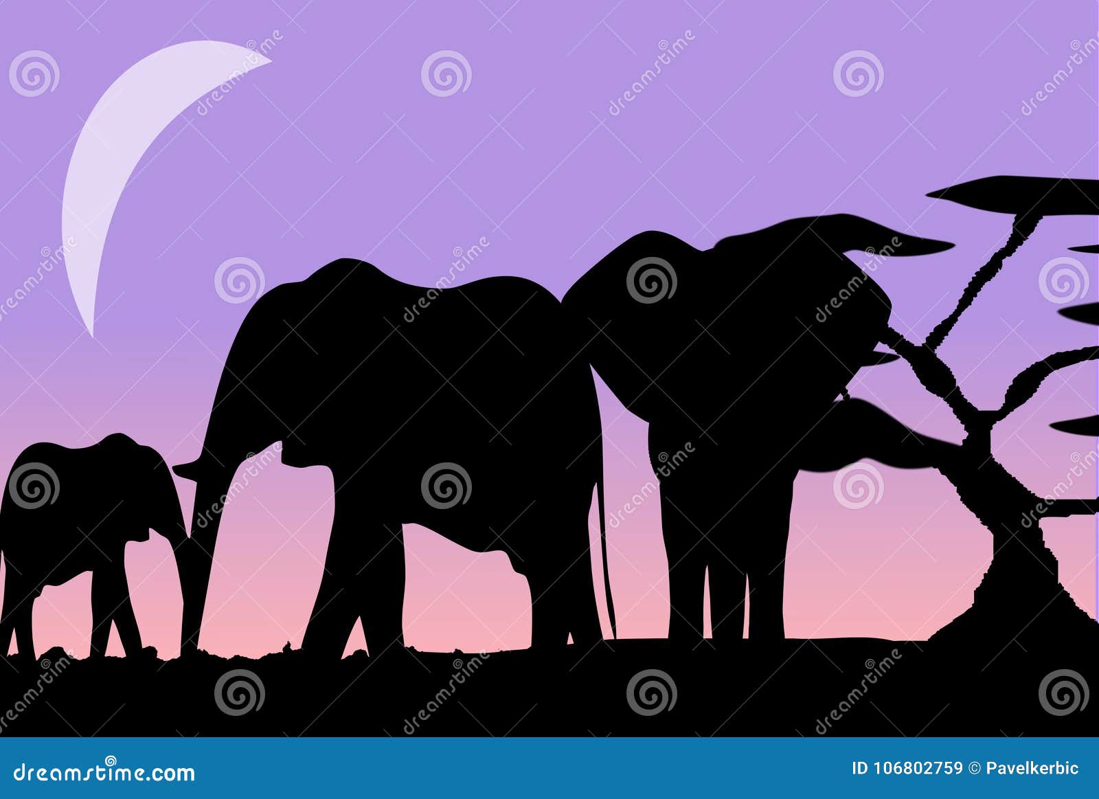 silhouhettes of an elephant family in the moonshine