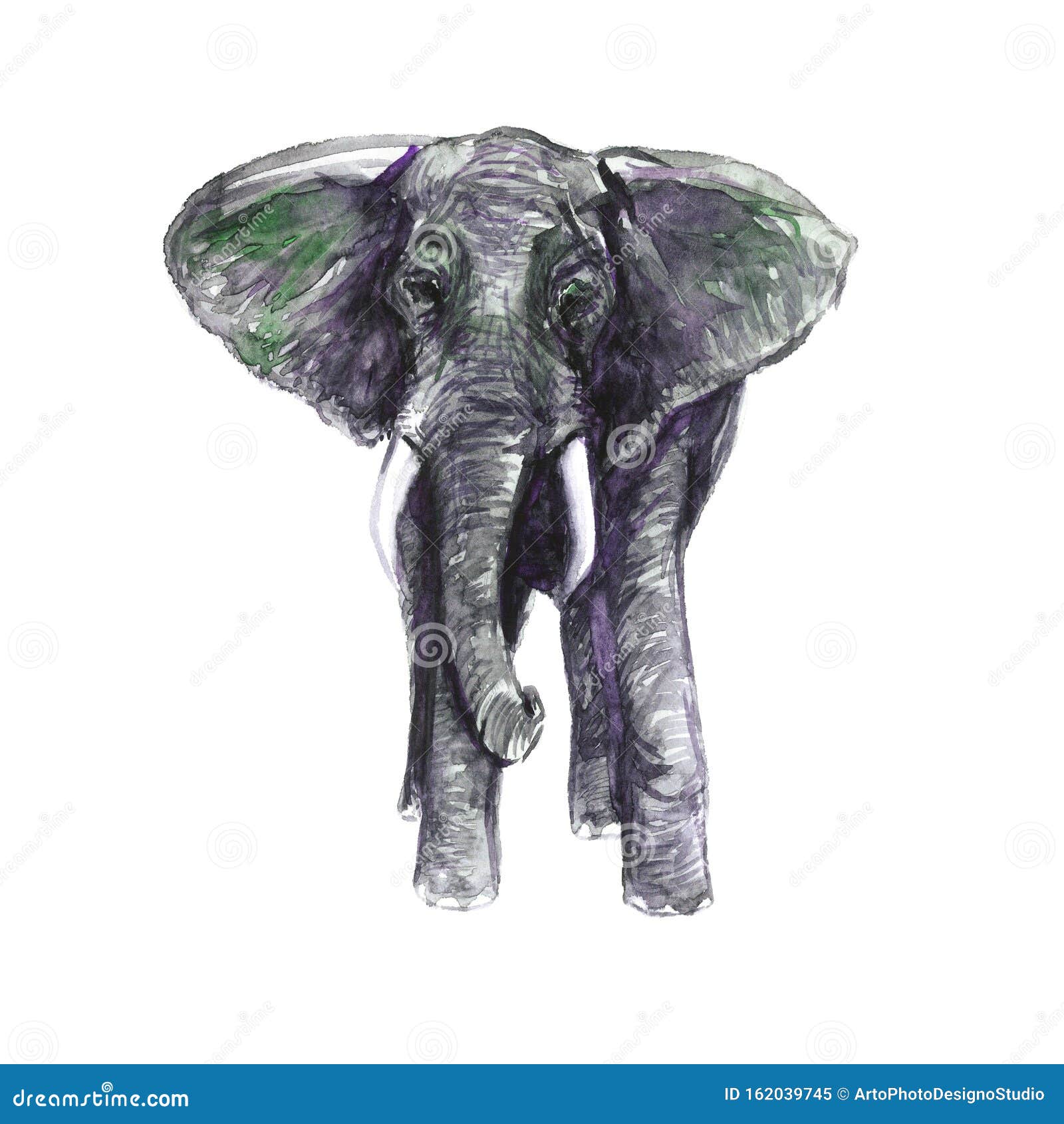 How to Draw an Elephant  Front View  YouTube